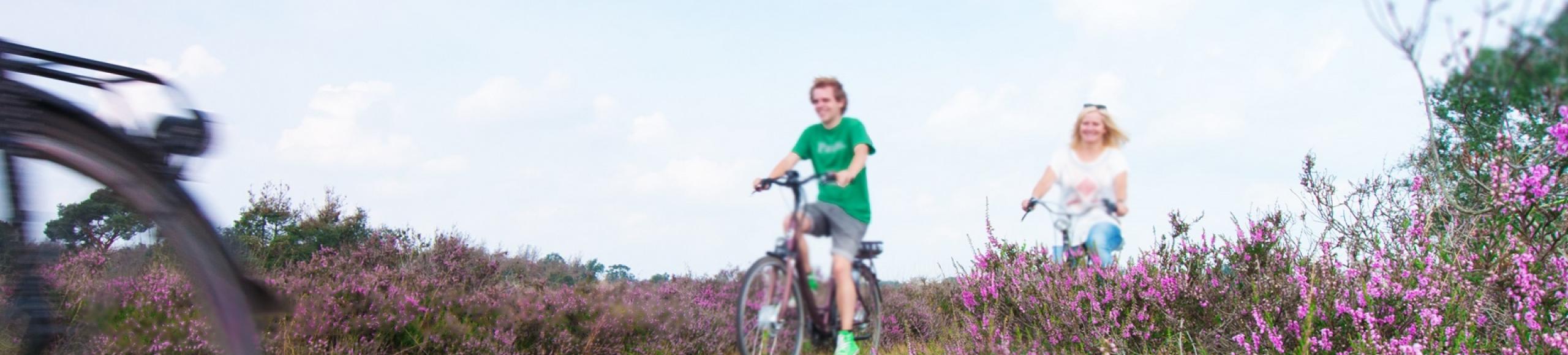 Home heeze leende